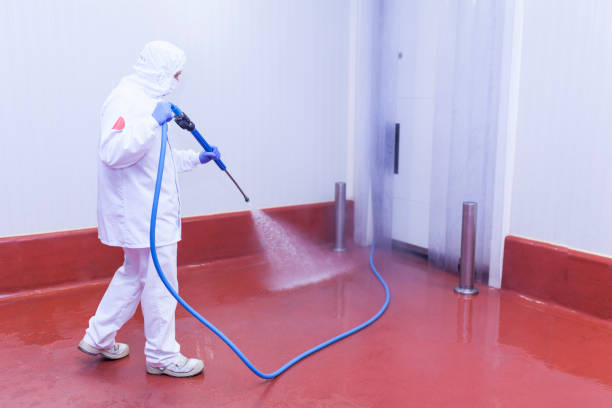 Best Boat and Dock Cleaning  in Herlong, CA