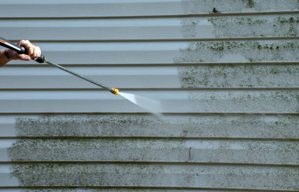 Best House Exterior Washing  in Herlong, CA